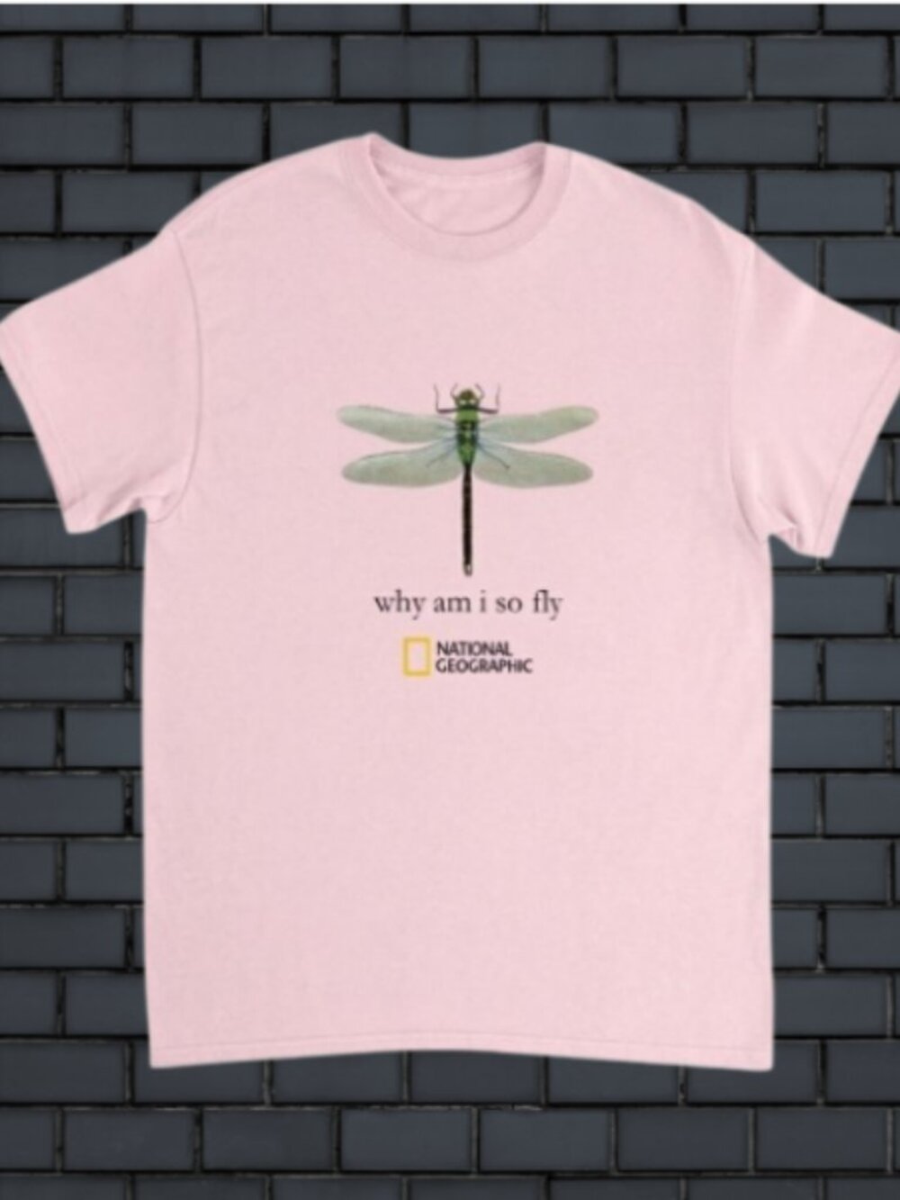 Dragonfly Graphic  'Why Am I So Fly' Nature T Shirt